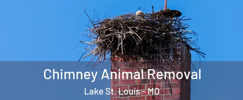  Chimney Animal Removal Lake St. Louis - MO