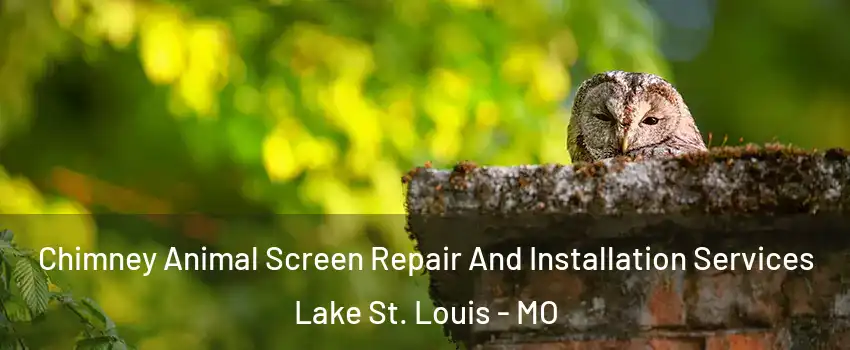  Chimney Animal Screen Repair And Installation Services Lake St. Louis - MO