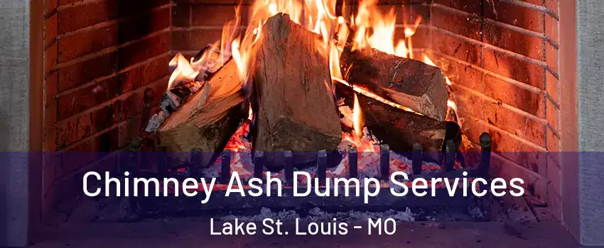  Chimney Ash Dump Services Lake St. Louis - MO