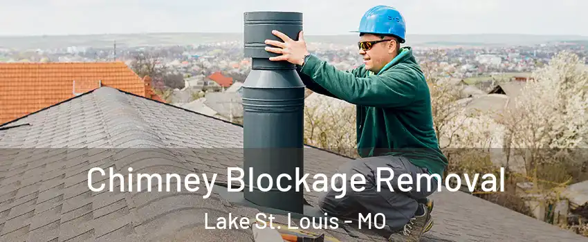  Chimney Blockage Removal Lake St. Louis - MO