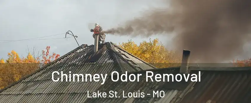  Chimney Odor Removal Lake St. Louis - MO