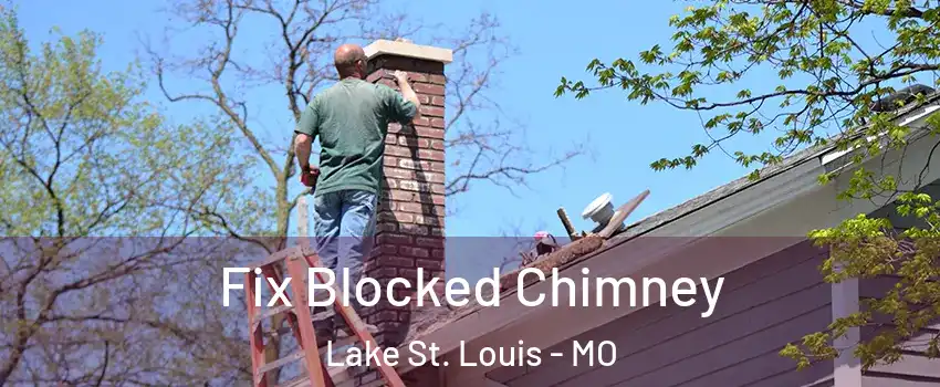  Fix Blocked Chimney Lake St. Louis - MO