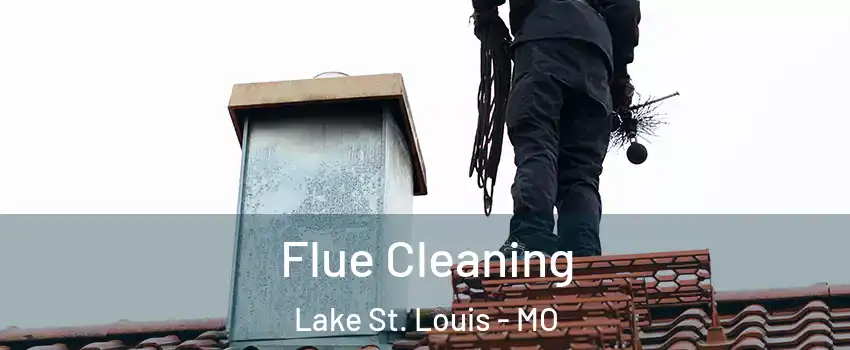  Flue Cleaning Lake St. Louis - MO