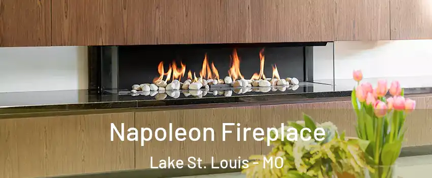 Napoleon Fireplace Lake St. Louis - MO